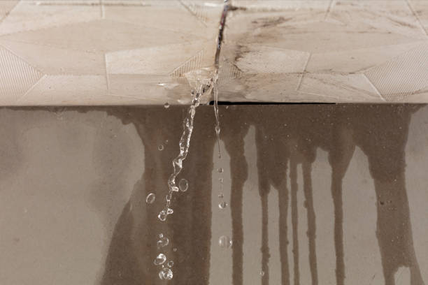 Professional Water Damage Repair technician working in Garrison, UT